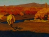 Gansukh E. - Tuul river - Oil on canvas - 40x80 cm